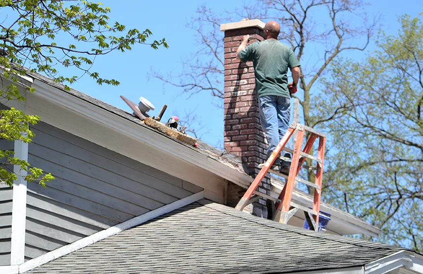 Chimney & Fireplace Inspections Services in Glen Ellyn, IL